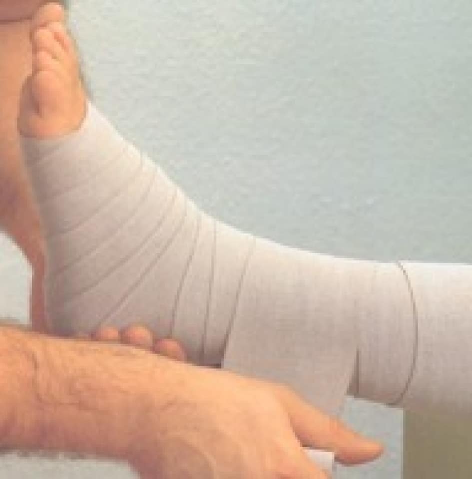 ELKO ROSIDAL K KORTE REK ZWACHTEL  5 mx 10 cm Per. 2 verpakt